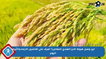 أين وصل هبوط الأرز الهندي المفاجئ؟ تعرف على تفاصيل الأزمة وتأثيرها اليوم